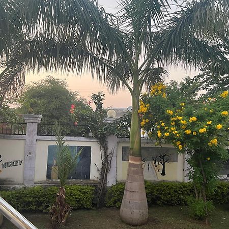 Sunrise Bed & Breakfast Κχατζουράχο Εξωτερικό φωτογραφία